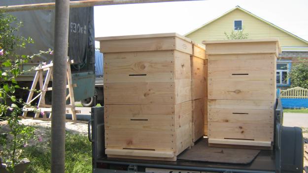Купить пчелосемьи в белгородской области. Улей для пчел. Из бруса ульи. Пасека на 3000 ульев. Прицеп для пасеки.